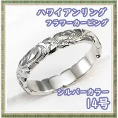 Item thumbnail for item 851a91c5-989e-4594-a734-268014f0922b