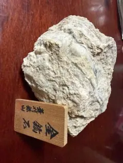 2026年最新】菱刈鉱山の人気アイテム - メルカリ