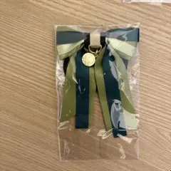 ディズニー　アナ雪　ヘアゴム　ヘアアクセサリー　ファンタジースプリングス　アナ雪