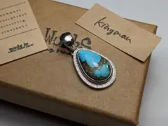 Item thumbnail for item 4fd73e32-eda9-4493-b86a-4ae9c743b711