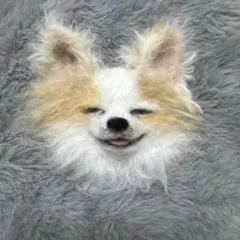 みぃ様 リクエスト 3点 まとめ商品