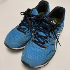 asics 28.5センチ　GT-2000 TGJ946