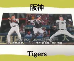 プロ野球チップス 阪神タイガース トラッキー、坂本選手カード - メルカリ