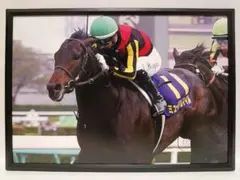 Item thumbnail for item d5f5b89e-99b7-440f-ba58-27bfc49d398f