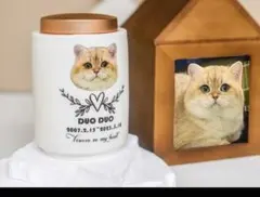 Item thumbnail for item e36a7a1f-8976-44c5-8449-97029741c035