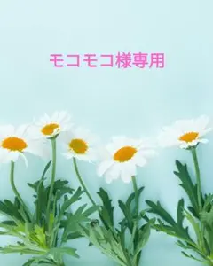 モコモコ様