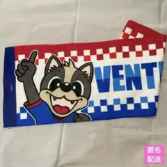 【新品未使用】ヴァンフォーレ甲府　ヴァンくん　マフラータオル