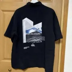 Item thumbnail for item 6c3ac9e4-1ba0-47b9-bb95-9ccc473256c8