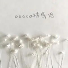 ❁︎cocoa様専用ページ❁︎