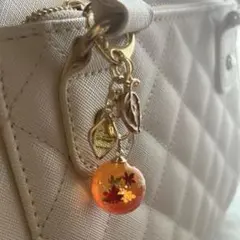 紅葉　チャーム
