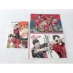 ハイキュー‼︎ ゴミ捨て場の決戦 入場者 特典 ビジュアルボード 音駒 33.5巻