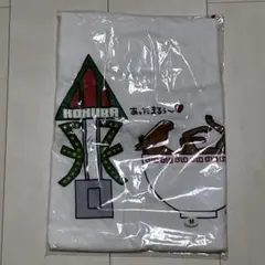 Item thumbnail for item 9c70932b-add1-43d5-838c-f077beda7a62