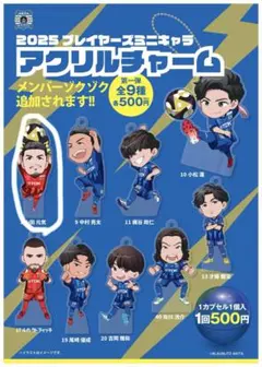 2025年最新】ブラウブリッツ秋田の人気アイテム - メルカリ