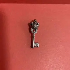 Ghvis_様専用 Rodkin SV925 鍵 ネックレス シルバー - メルカリ