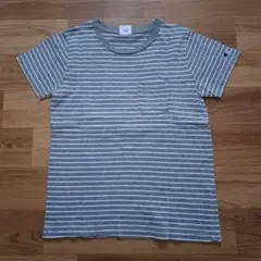 Champion グレー ストライプ 半袖Tシャツ