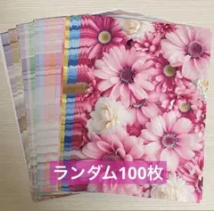 Item thumbnail for item 28826803-ae24-445d-8529-e30271e5e5dd