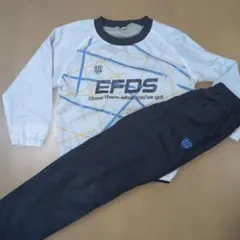 ピステ