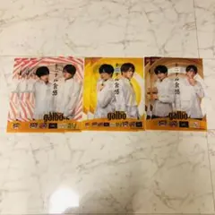 ガルボ クリアファイルと下敷き