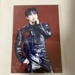 straykids Blu-ray楽天ブックス 特典　チャンビン