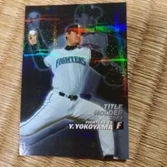 プロ野球チップスカルビーカード2004年