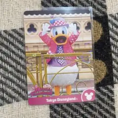 東京ディズニーランド ミニーのファンダーランド コレクションカード ドナルド