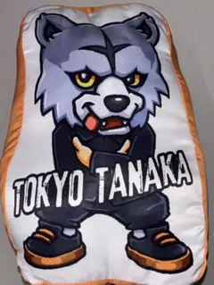TOKYO TANAKA MWAM クッション
