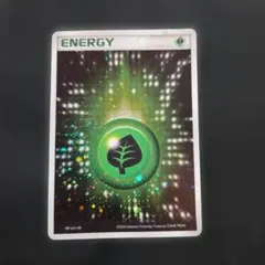 も*ま様 アクマグエネルギー草1枚　うずまきあり