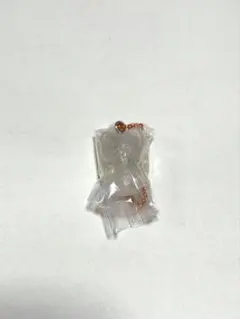 StrayKids スキズ SKZOO グミ&チャーム ジニレット 食玩