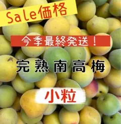 訳あり！和歌山県産 完熟南高梅 【小粒 】1kg 梅シロップ 梅酒 梅ジャム向けのサムネイル