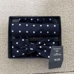 Item thumbnail for item f6d8d029-0a48-4128-a7ca-59b30bdad98a