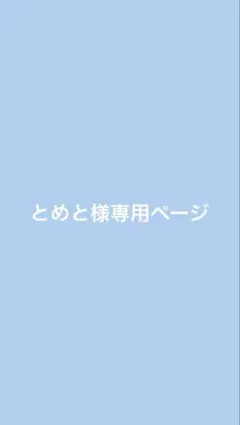とめと様専用ページ