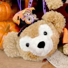 ハロウィン　コインケース　ダッフィー　ディズニーリゾート　レア