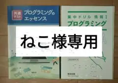 プログラミングのエッセンス & 集中ドリル 情報 I