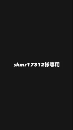 skmr17312 전용
