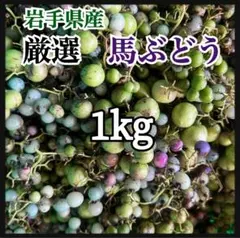 2026年最新】ウマブドウの人気アイテム - メルカリ