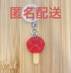 即購入⭕️ めじるしアクセサリー ズートピア アイスキャンディ