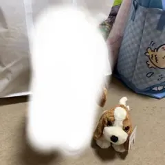 専用商品Hush Puppies ハッシュパピー ぬいぐるみ - メルカリ