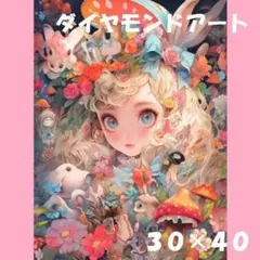 A43】ダイヤモンドアート 30×40cmラウンド✱ - メルカリ
