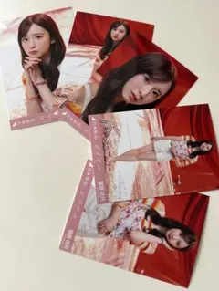 菅原咲月 生写真 乃木坂46 ビリヤニ 個別 5種コンプ