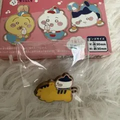 ちいかわ ゆうえんち ピンズコレクション - メルカリ