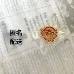 京都限定 ポケモン ご当地 ピンズ コレクション ホウオウ 大文字焼き