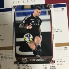 ミラン様 リクエスト 2点 まとめ商品