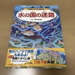 水の国の迷路 香川元太郎 絵本　帯付　パノラマ迷路　クイズ　かくし絵