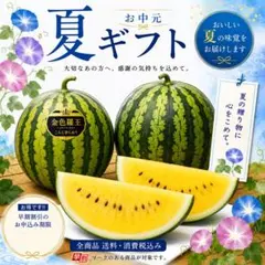 2点セット 熊本県産 肥後グリーン 金色羅王 夏ギフト メロン スイカ