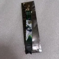 ジャイアンツ　ボンフィン　2026 泉　圭輔