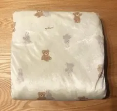 Item thumbnail for item 2619011e-7a00-458d-9a84-bb6c6e278969