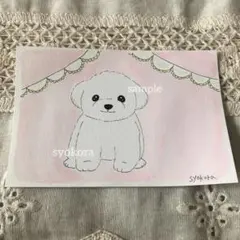 原画　水彩画　マルチーズ　犬　ポストカード　手描きイラスト　アナログイラスト