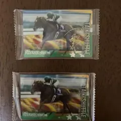 タイキシャトル　サインありなしカード２枚セット サラブレットホースコレクション