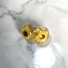 Item thumbnail for item 14b7ae70-7b6c-48cd-8953-b8448b8dc9c8