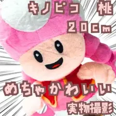 キノピコ　桃　ぬいぐるみ　マリオ　大きい　特大　国内20cm　【残3】